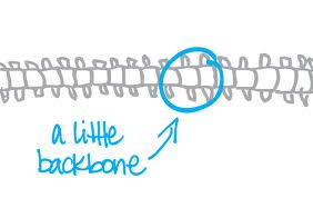 backbone.jpg